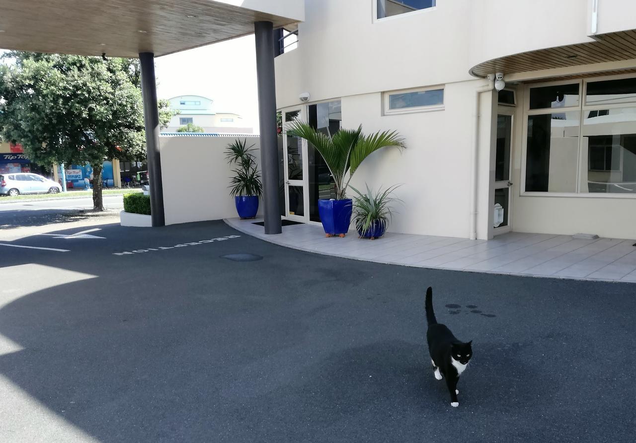 Pacific Motor Inn Mount Maunganui Eksteriør bilde